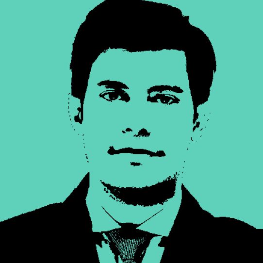 José Alves Ribeiro Jr.*