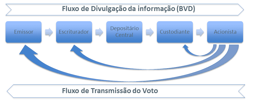Fluxo de Divulgação da informação (BDV)