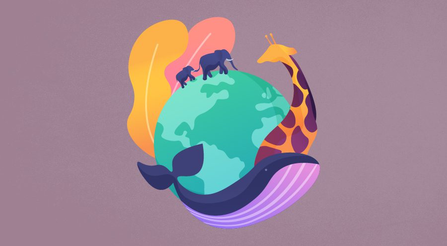 Biodiversidade: por que esse tema deve ser discutido pelo mercado