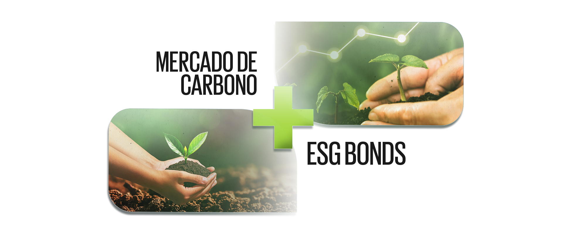 Mercado de carbono + ESG Bonds | Capital Aberto Discover