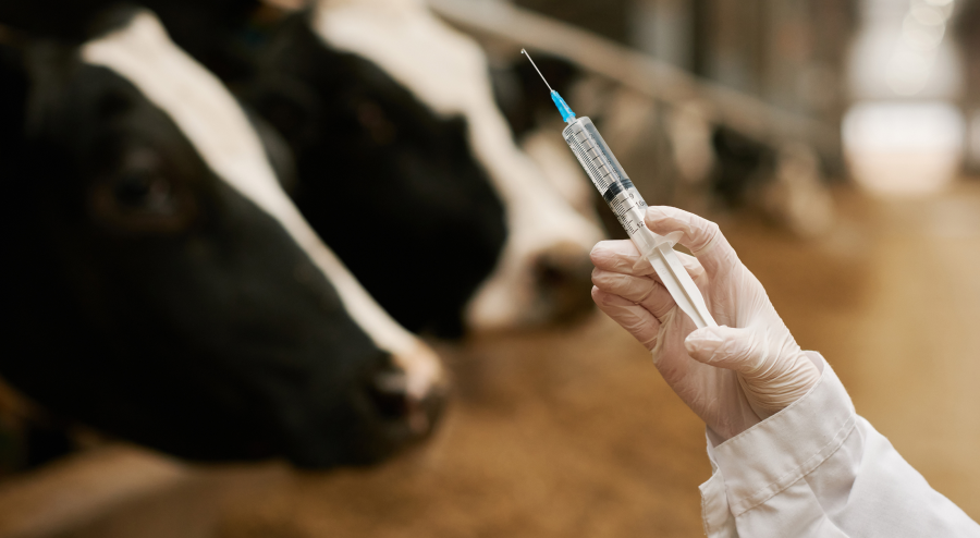 Resistência antimicrobiana preocupa investidores