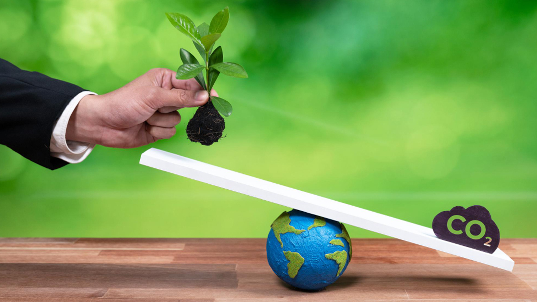 Fiagros: Senado aprova regulamentação do mercado de carbono